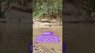 Download lagu kejadian kemarin di sungai hutan larangan warga yang sedang menjala ikan tiba tiba #shortsviral mp3 Download lagu kejadian kemarin di sungai hutan larangan warga yang sedang menjala ikan tiba tiba #shortsviral mp3