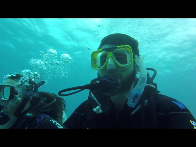 Diving at The Great Barrier Reef- FOCUS Australia 2017