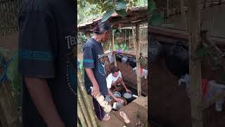 Download lagu Mom is crying, white people are crying #emakbarbar #emakbarbarfamilly mp3