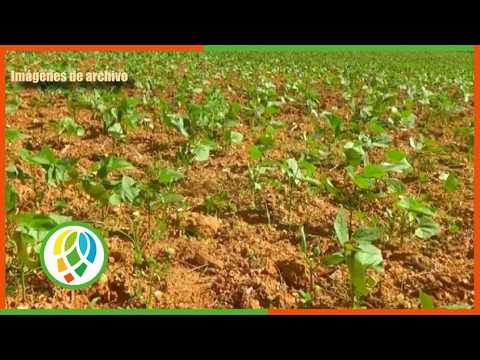 Establece Mantua medidas para enfrentar actual contingencia energética