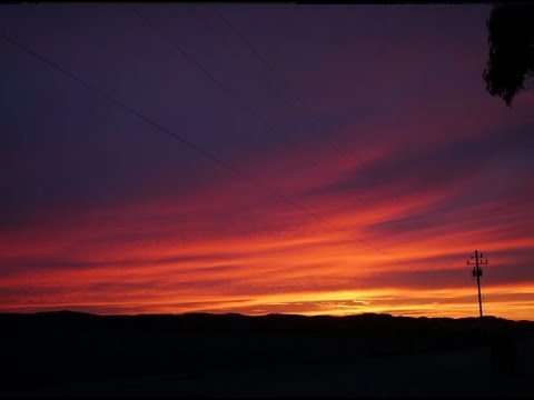 B3 & Jazz Guitar Duo Session with Bill Wurtzel & Jon Hammond