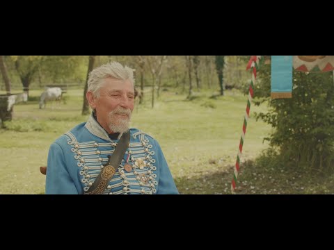 Csizik Mihály  - Magyar Hősök Arcképcsarnoka: „ÉLŐ LEGENDÁK”