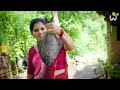 Spicy Fish Fry Recipes | Fish Pakora |  Fish Masala fry | Kerala Traditional kitchen | Lifestyle.