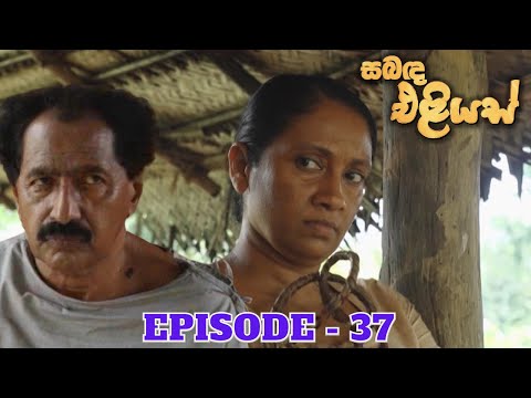 Sabanda Eliyas | Episode 37 - (2023-04-23)