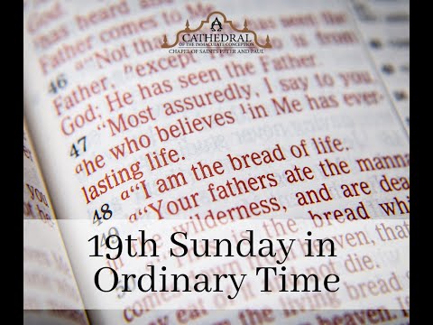 Click to Watch the Celebrate Sunday Mass - 8.8.21 video