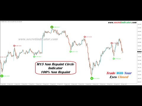 Forex Fund Management