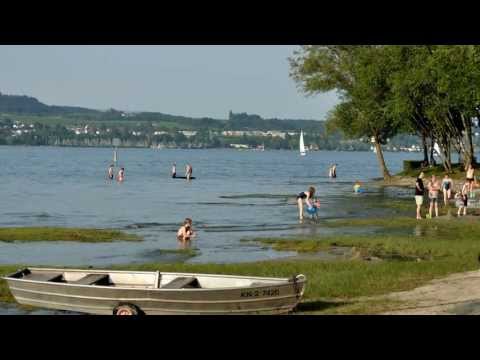 Tauchen im Bodensee - Dingelsdorf, Seezeichen 21