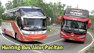 Download lagu Bus Hunting On The Pacitan - Solo Route. Tourism And AgraMas Buses Still Dominate mp3 Download lagu Bus Hunting On The Pacitan - Solo Route. Tourism And AgraMas Buses Still Dominate mp3