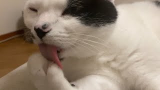 うめのゆびケアルーティン