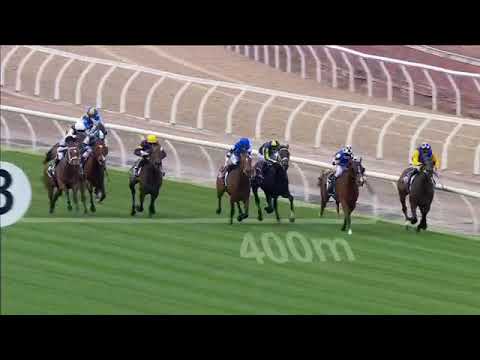 #HighclereGlory - Great House - 2021 Lexus Hotham Stakes (Group 3, 2500m, Flemington)