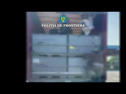 PTF Vărșand: trei cetățeni etiopieni ascunși printre cutii cu piese auto