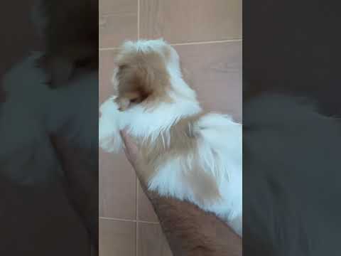 Vídeo