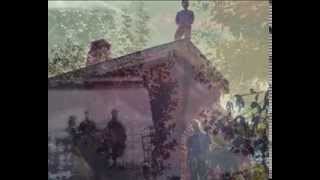 PLASTIC FLOWERS - ''Summertime Pop'' \\ Lyrics