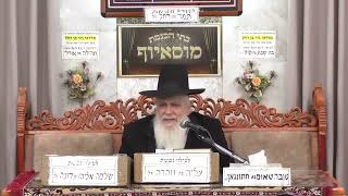 הרב יעקב ישראל לוגסי   פרשת תצוה תשפ ו   מוסאיוף (בית הכנסת מוסאיוף - ערוץ חדש) - התמונה מוצגת ישירות מתוך אתר האינטרנט יוטיוב. זכויות היוצרים בתמונה שייכות ליוצרה. קישור קרדיט למקור התוכן נמצא בתוך דף הסרטון