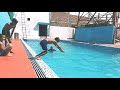 Diving Skills Part 1 SS Swimming Academy