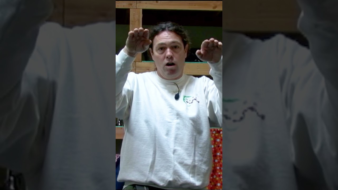 The art of balance in dog training. This clip came from Sport Skills Master Class with Michael Ellis