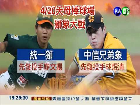 週日獅象大戰 華視17點給你好看!