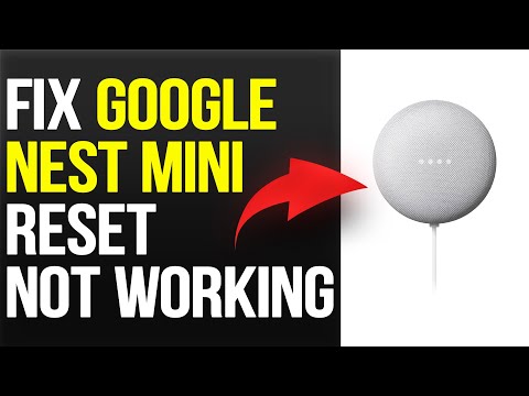 Google Home Mini Wont Reset