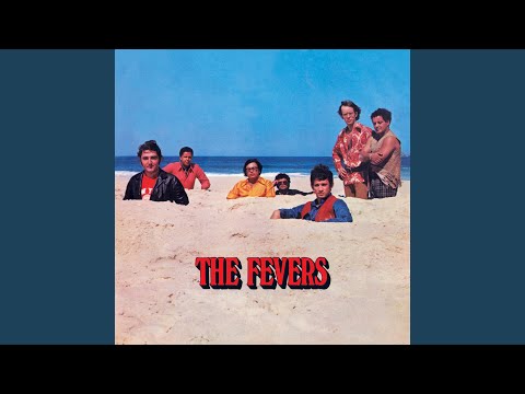Hey, Baby - The Fevers