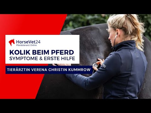 Kolik beim Pferd: Symptome & erste Hilfe