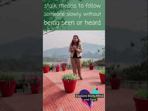 Daily Dose of English | vocabulary | Types of smiles | Difference between Chase and Stalk