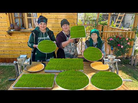 SEMENİ - Grandma Cooked Semeni Dessert, an Old Caucasian Dessert Recipe