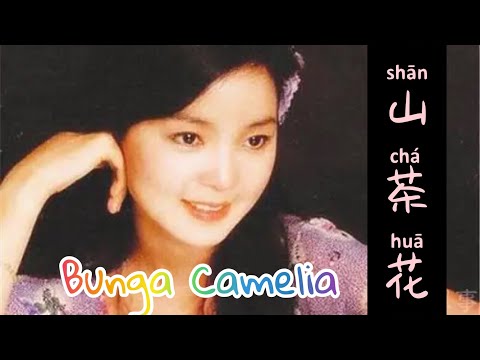 山茶花 • Shan Cha Hua • Teresa Teng • 邓丽君 • Bunga Kamelia - Lagu Mandarin Subtitle Indonesia Pinyin