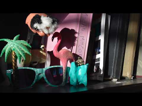 Nieuwe Vide Studio's: Tumult met Significant Otherness