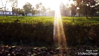 preview picture of video 'Dhekiajuli Assam Tea garden view'