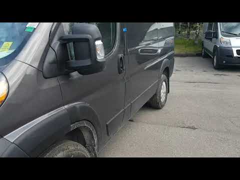 ProMaster 118\"