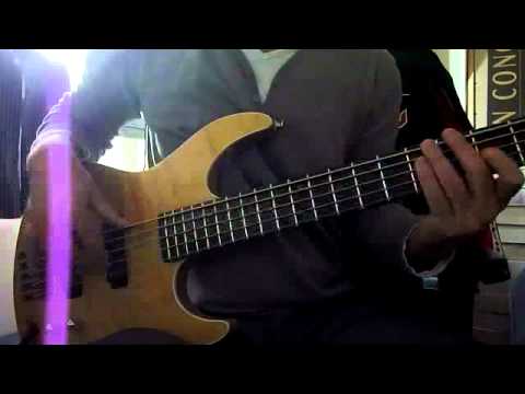 Basse Neuser Crusade Finition Thermo 5 cordes à vendre