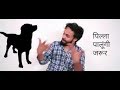 Pilla Palungi Jarur Chahe Jaan Chali Jaye Whatsapp Status