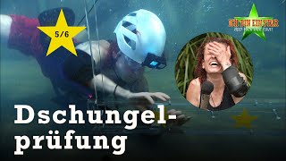 Lucy schwimmt sich durch die Dschungelprüfung „Reparatortur“ ⭐ | Dschungelcamp 2024