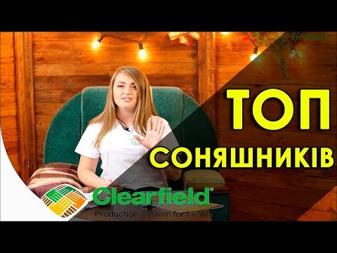 Топ 5 гибридов подсолнечника под Clearfield 2019