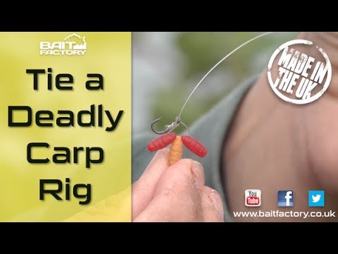 Discover a brilliant big carp rig - it works for specimen tench and bream too!