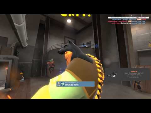 Niko Jims - UGC HL S8 Silver Playoffs Round 2 - QC vs Brushie round 2 - Gullywash