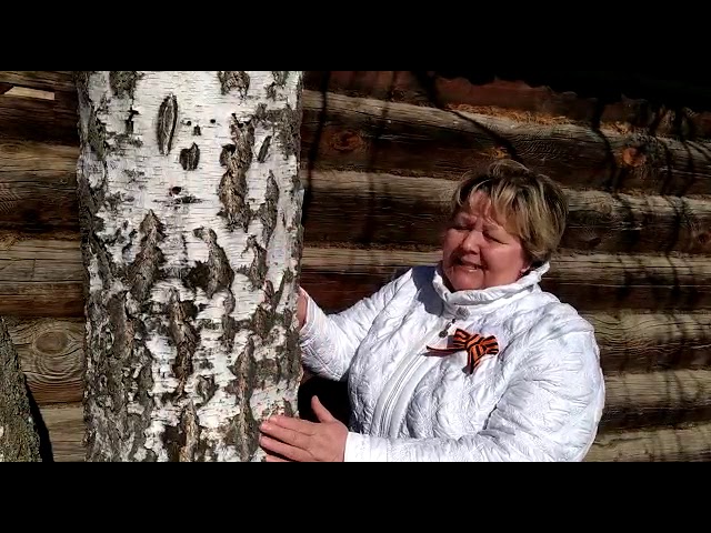 Сергей Васильев, "Я помню, ранило березу осколком бомбы на заре". Читает Валентина Клюшин