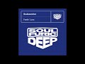 Feelin' Love (Soulsearcher Club Mix) Soulsearcher - Soulfuric Deep