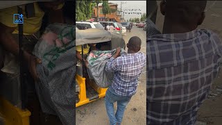 Download lagu What’s inside the sack 😭😭😭 mp3