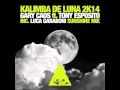 Gary Caos ft. Tony Esposito - Kalimba De Luna ...