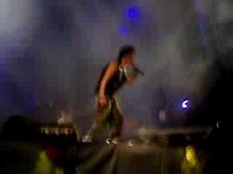 dzrt remix tour cifrao