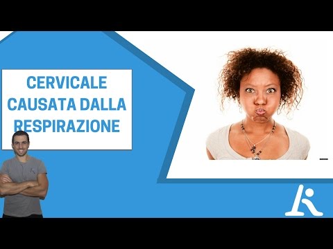 Malattia e il trattamento di malattie degenerative del disco Vita videokurs Dr. Alekseev senza dolore alla schiena