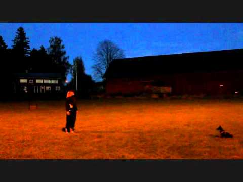 Tuva   moment i lydnadsklass 1