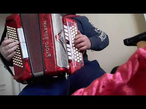 Sally gardens/the masons apron