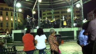 Mariachi Los Potrillos - El Gavilán