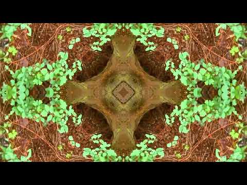 Meditacion - Marco Montero