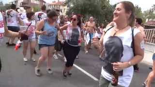 preview picture of video 'Desfile de Santiago y Santa Ana 2014 Grado nº 3'