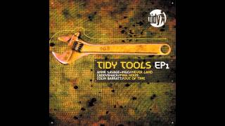Ingo, Anne Savage - Never Land (Original Mix) [Tidy]
