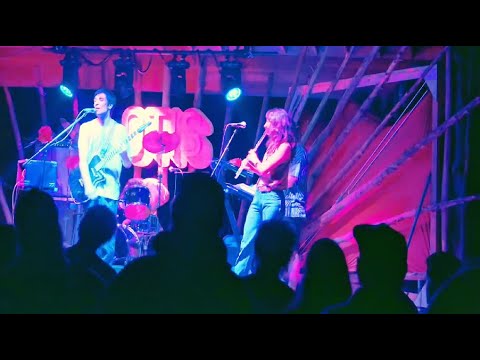 The Dead Shakers, Raytheon's Favorite Psychedelic Rock Band