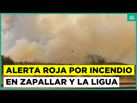 Senapred declara Alerta Roja en Zapallar y La Ligua por incendio forestal: Se ordenó evacuación